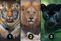 Dime qué animal te parece más fuerte y sabrás un dato oculto de ti