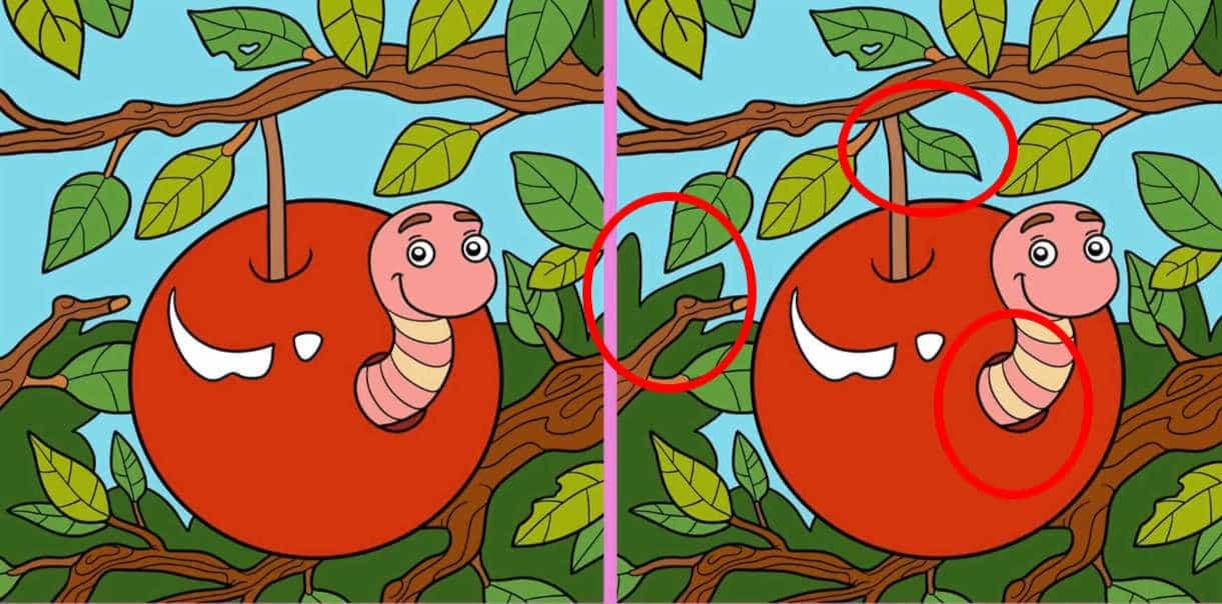 SOLUCIÓN DEL RETO VISUAL | He encerrado en un círculo rojo todas las diferencias. | YouTube