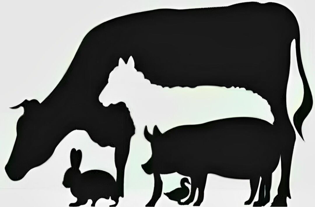 Test visual: el número de animales que veas revelará quién piensa traicionarte (Foto: GenialGuru).