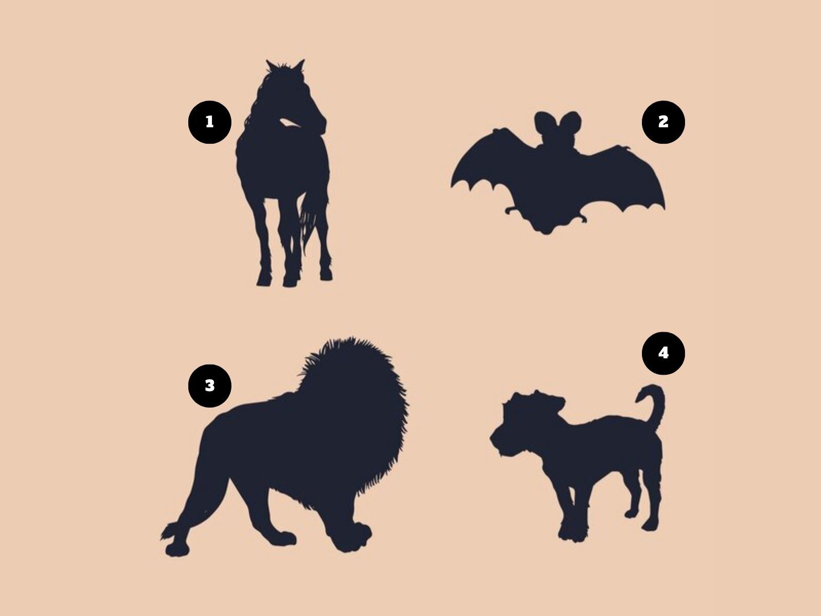 Test visual: Cada animal oculta algo interesante. ¿Por cuál te decides? (Foto: Composición Freepik / Depor)