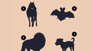 Averigua tu mayor obstáculo en la vida eligiendo tu animal favorito