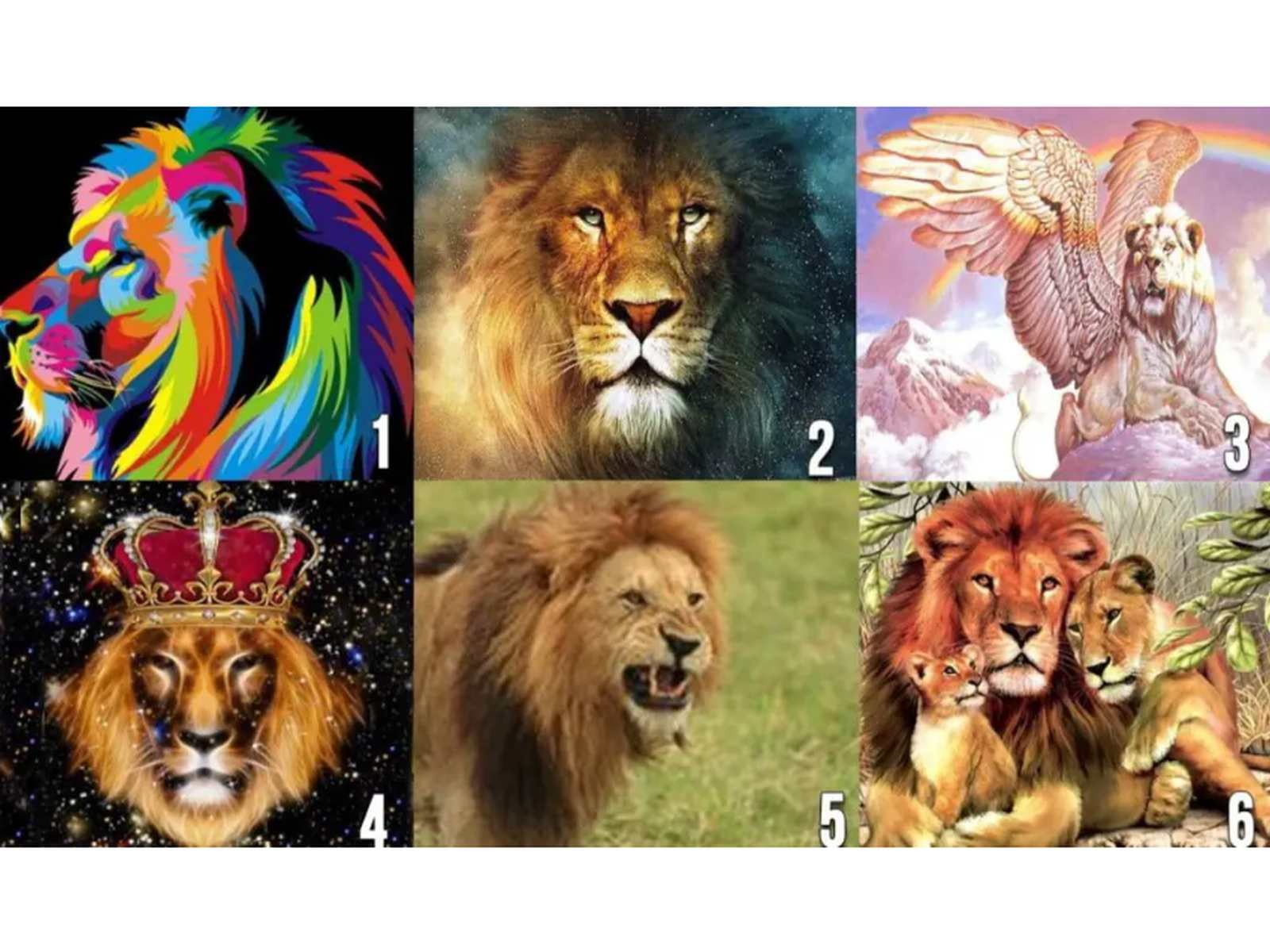 TEST VISUAL | Esta imagen te muestra muchos leones. Tienes que elegir uno. (Foto: namastest.net)