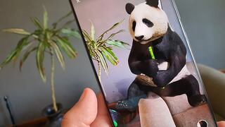 Animales 3D de Google: cómo grabar un video en realidad aumentada