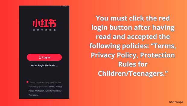 You must click the red login button after having read and accepted the following policies: “Terms, Privacy Policy, Protection Rules for Children/Teenagers.” (Photo: Noé Yactayo)