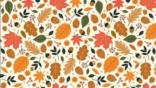 Encuentra al erizo entre las hojas de otoño: el acertijo visual que solo unos cuantos logran completar con éxito