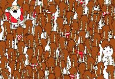 Reto visual: ¿puedes ver al oso camuflado entre los venados en solo 5 segundos?