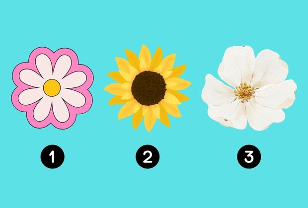 Choose one of the flowers in the image to discover your greatest virtue as a person (Design: Depor).