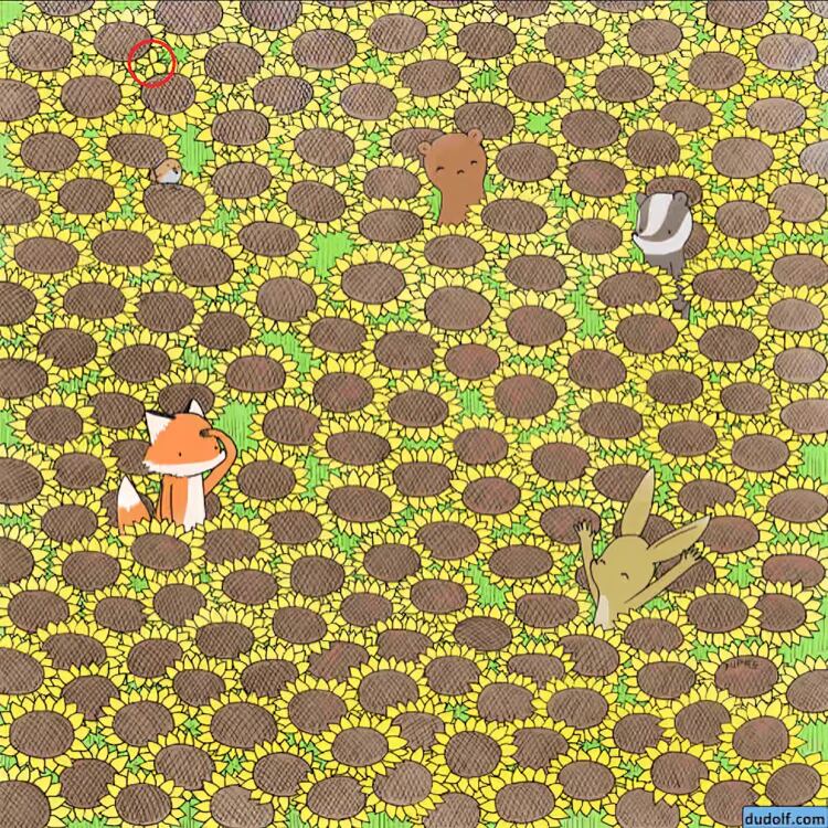 Encuentra la mariposa oculta entre las flores en menos de 7 segundos: solo los más atentos pueden hacerlo (Foto: Depor)