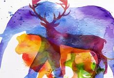 Averigua qué rasgo de tu personalidad destaca más según el primer animal que identifiques