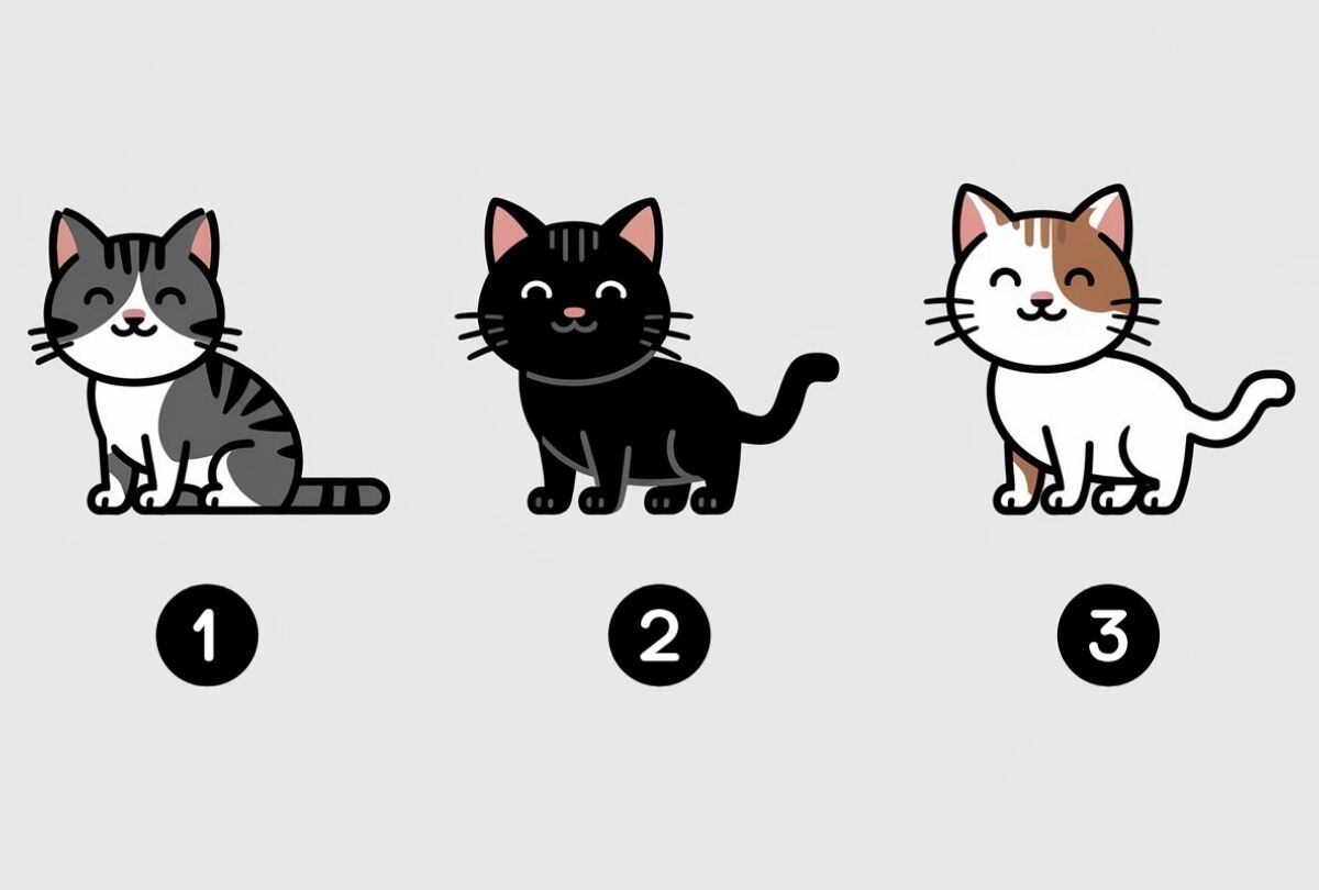 Elige uno de los gatos en esta imagen para descubrir si eres una persona mentirosa (Diseño: Depor).