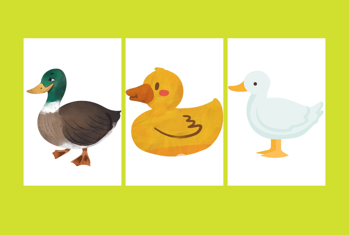 Este test visual de patos es perfecto para ti. Solo debes elegir el pato que más te guste y te revelaremos lo que eso dice sobre ti. (Depor)