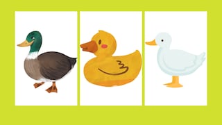 Test visual: ¿Qué pato eliges y qué secretos revela sobre tu subconsciente?