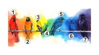 Elige un pájaro para descubrir lo que más necesitas en tu vida ahora mismo