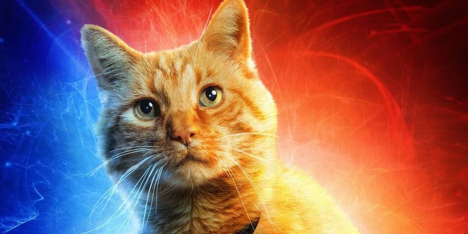 Goose volverá en "The Marvels". (Foto: Marvel Studios)