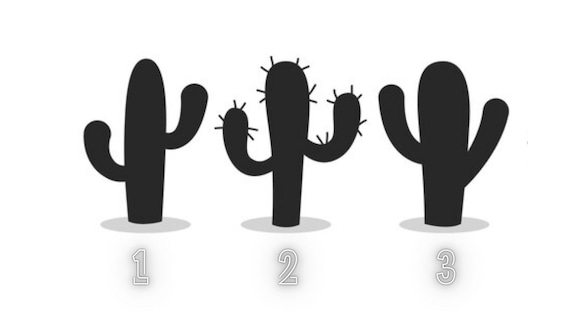 TEST VISUAL | Cada cactus te ofrecerá una importante información que te dejará impactado. (Foto: Composición Freepik / Depor)