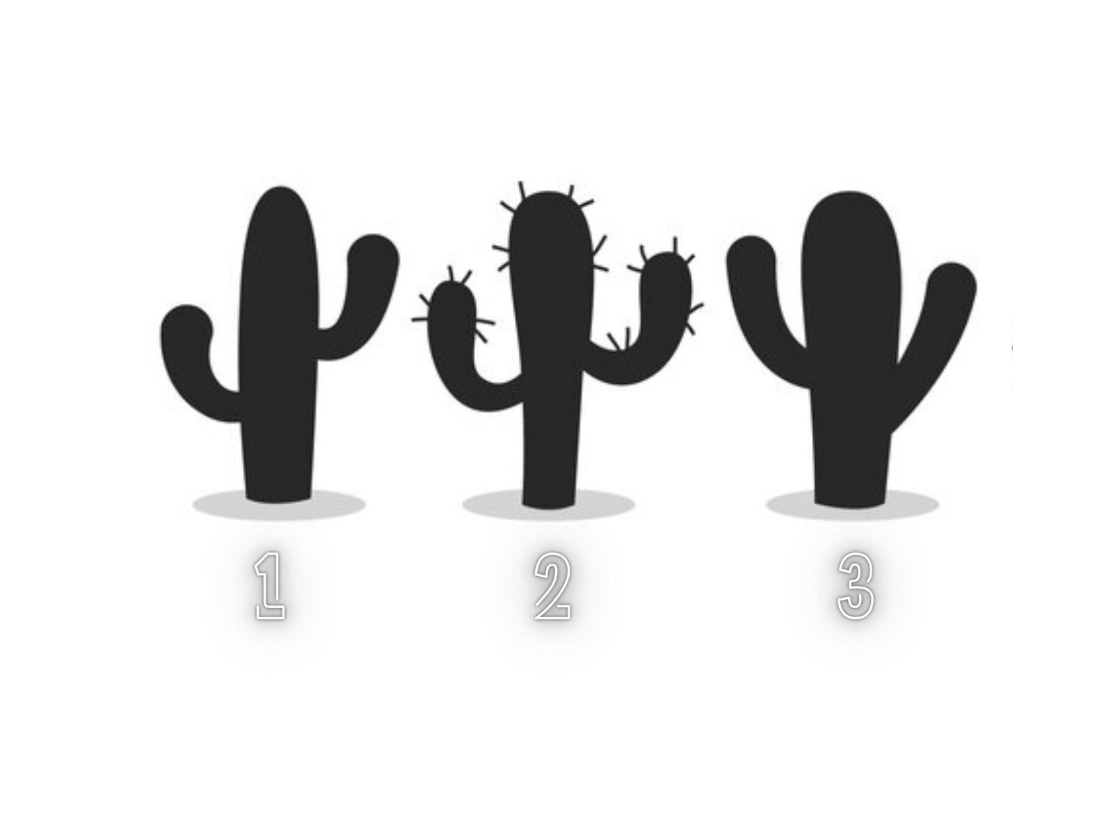 TEST VISUAL | Cada cactus te ofrecerá una importante información que te dejará impactado. (Foto: Composición Freepik / Depor)