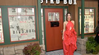 Sandra Bullock revela la conmovedora razón por la que aceptó protagonizar “Bird Box” | FOTOS