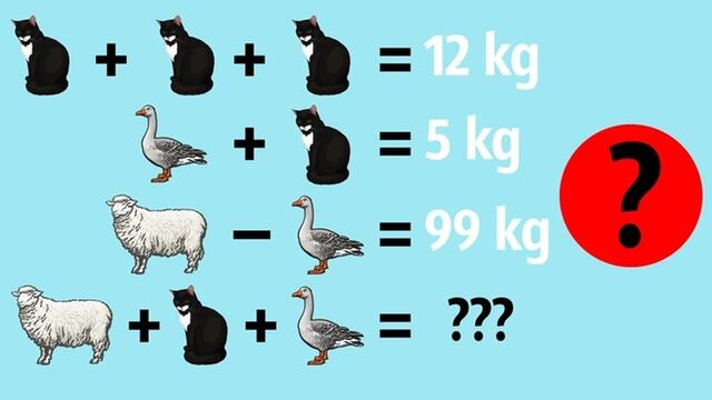 ¿Eres un genio? Encuentra el peso de una oveja, un gato y un pato en 15 segundos