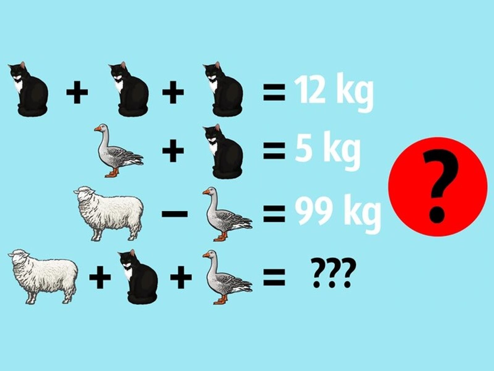 RETO MATEMÁTICO | Solo las personas con un coeficiente intelectual alto pueden averiguar el peso combinado de la oveja, el gato y el pato en 15 segundos. | Bright Side