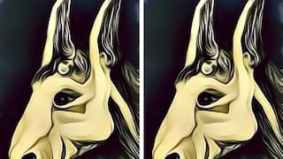 Descubre si estás aferrado al pasado con este test visual de ilusión óptica