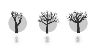 Elige un árbol de la imagen y sabrás en qué debes mejorar