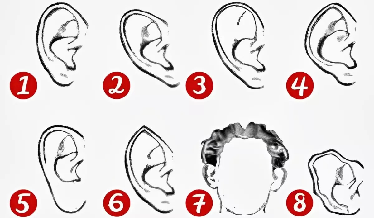 Test visual: la forma de tus orejas revelará tu forma de ser. (Foto: Archivo).
