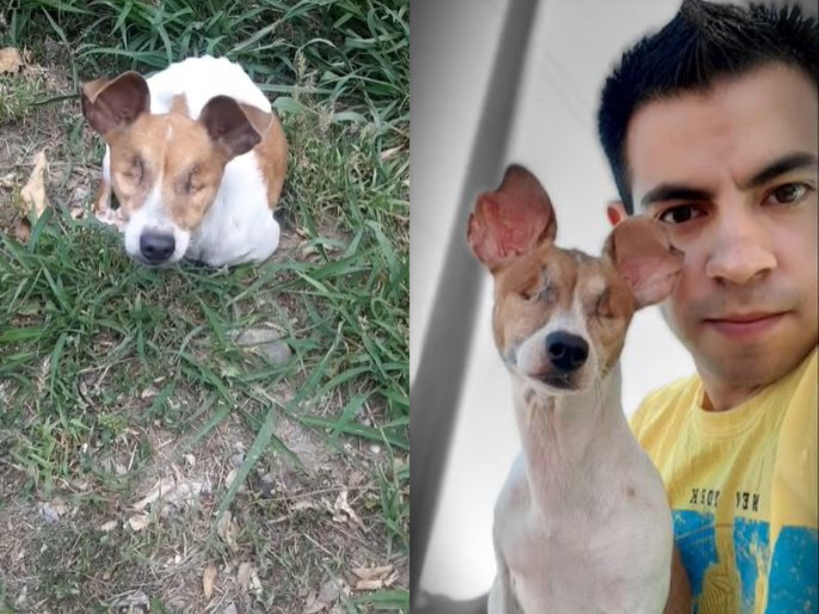 VIDEO VIRAL | Conchita descubrió el amor verdadero en el hogar de Mauricio cuando se encontraron en abril de 2020. (Foto: @mauricioperez852/TikTok)