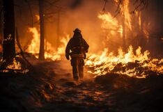 Incendios del 29 de enero: emergencias y accidentes que ocurren en el Perú