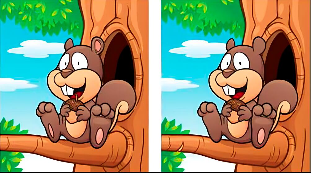 Encuentra las 5 diferencias en la ardilla (Foto: GenialGuru)