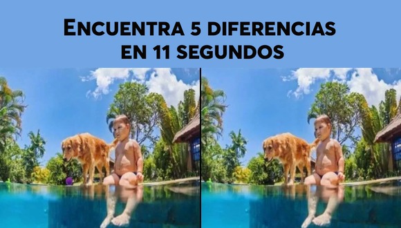 DESAFÍO VISUAL | Las dos imágenes tienen un total de 5 diferencias entre ellas, y el desafío es detectar estas diferencias en 11 segundos.