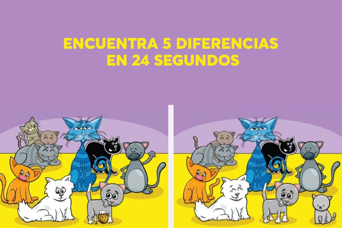 Hay 5 diferencias entre las imágenes de los dos gatos. ¿Puedes identificarlas a todas en 24 segundos? (Foto: Spatial Learners)