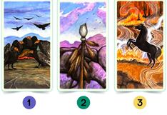 La tarjeta que selecciones te indicará cuál es tu mayor preocupación