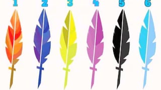 Test visual: elige una pluma y revela tu personalidad oculta