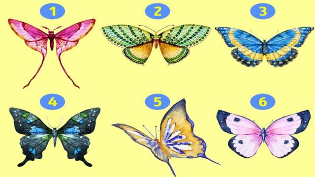 Elegir una mariposa te permitirá conocer más sobre tu personalidad