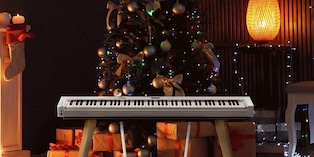 Esta Navidad convierte tu hogar en un espacio lleno de encanto y armonía. (Foto: Difusión)