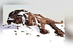 Identifica qué rasgos rigen tu vida según lo primero que observas en el test visual