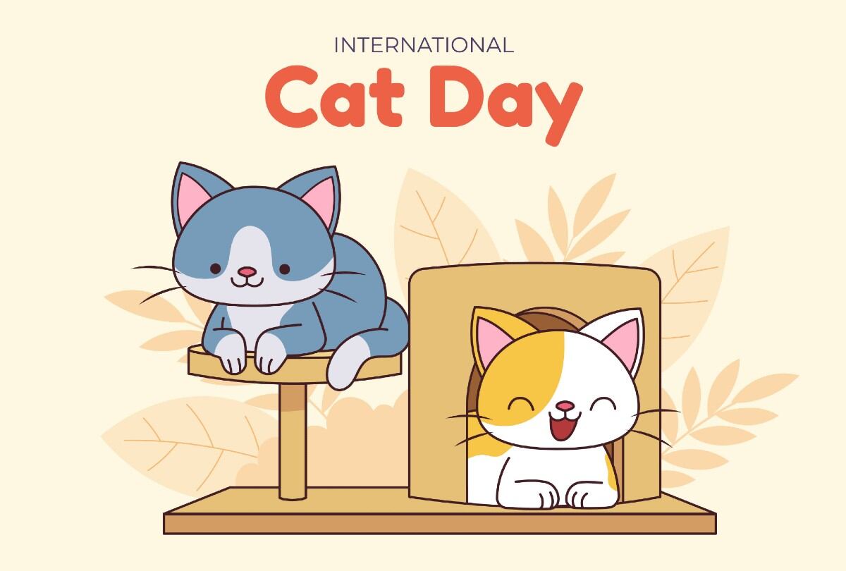 Dedícale a tu felino una de estas frases por el Día Internacional del Gato. (Freepik)