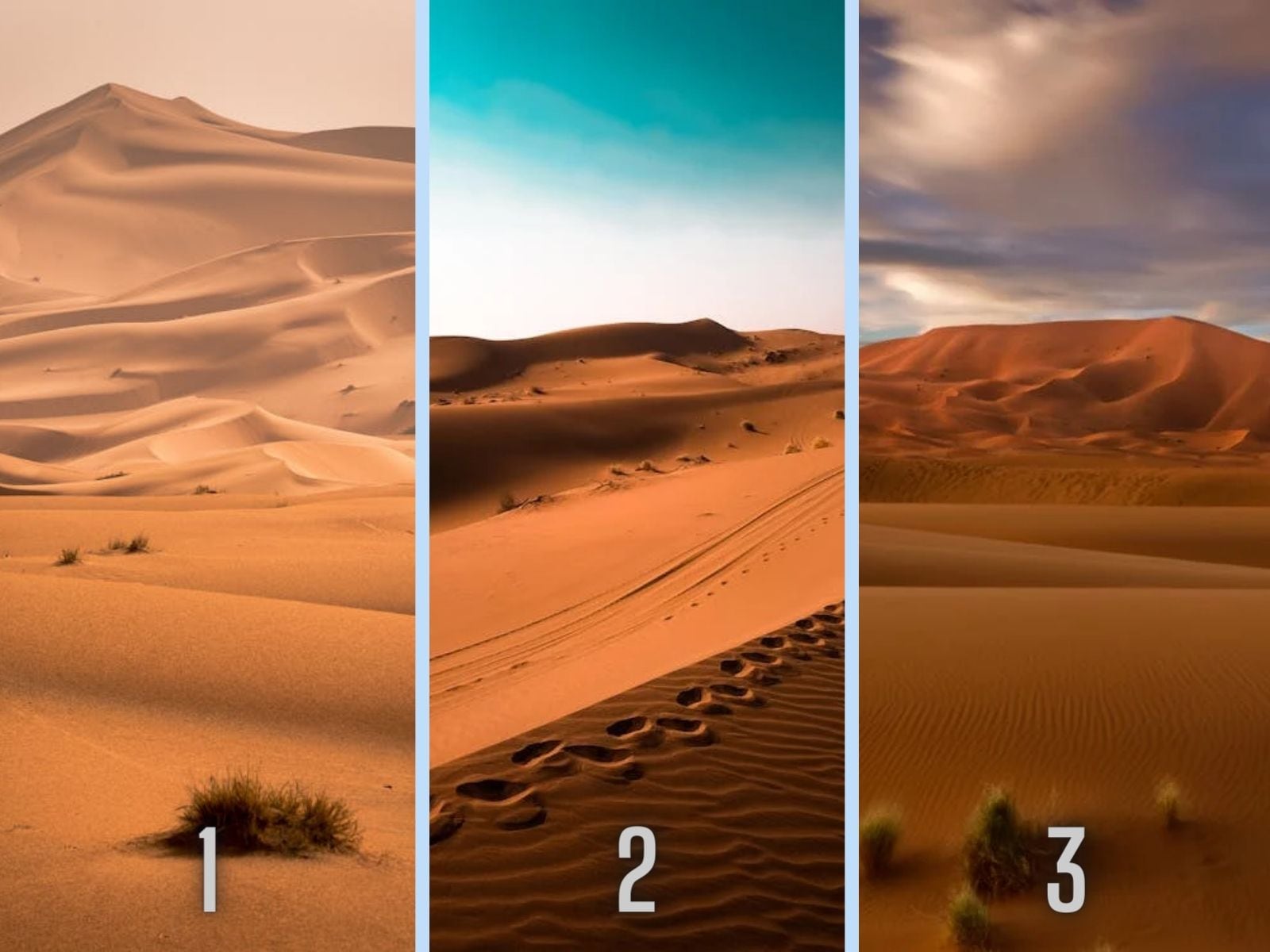 TEST VISUAL | Es altamente arriesgado que un ser humano decida vivir en un desierto. (Foto: Composición Freepik / Depor)