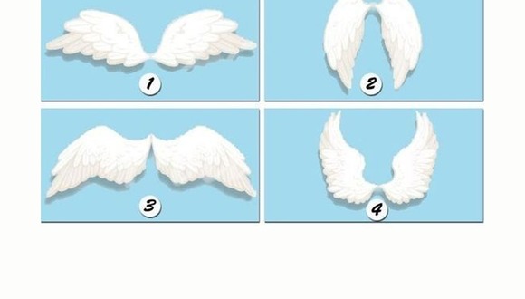 TEST VISUAL | Podrás descubrir qué arcángel te acompaña en este momento de tu vida, según las alas que elijas. | bioguia