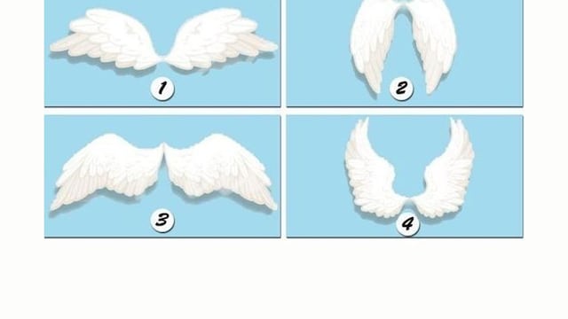 Elige tus alas favoritas y descubre qué arcángel te guía
