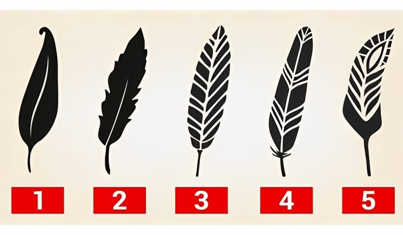 Test de personalidad: elige una pluma y describe tu personalidad. (Foto: Difusión)