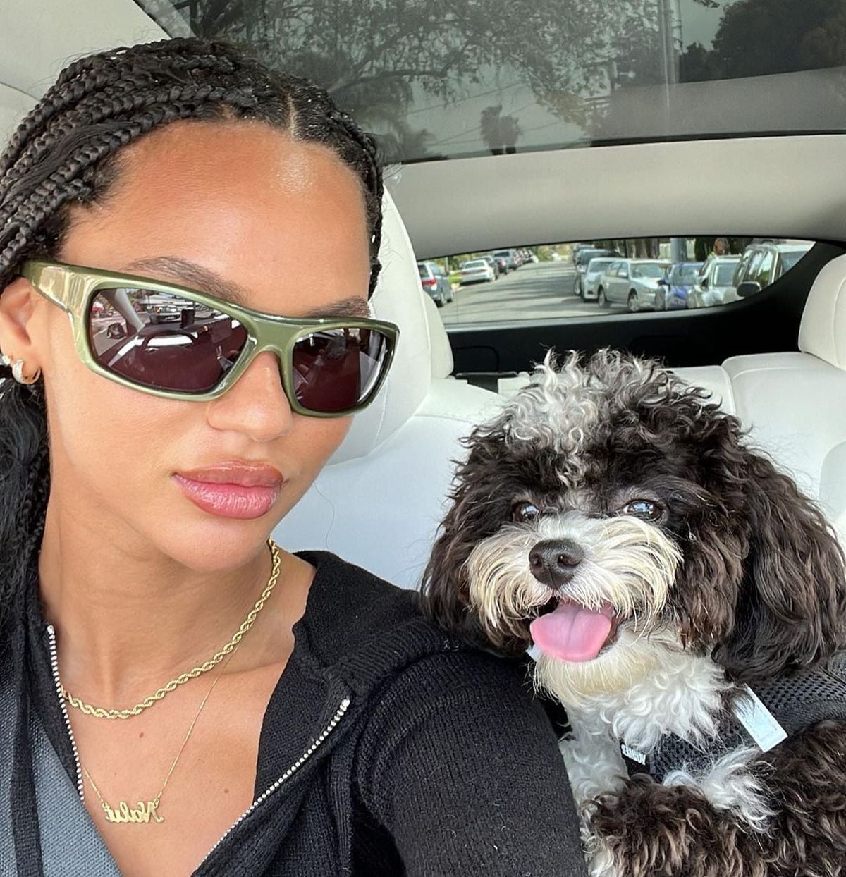 La modelo junto a Rio, su mascota a la que extraña (Foto: Juliana Nalú / Instagram)