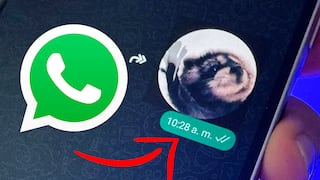 Así puedes enviar el sticker con audio del “mapache Pedro” en WhatsApp