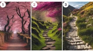 Elige uno de los caminos y descubre a dónde te llevará el destino