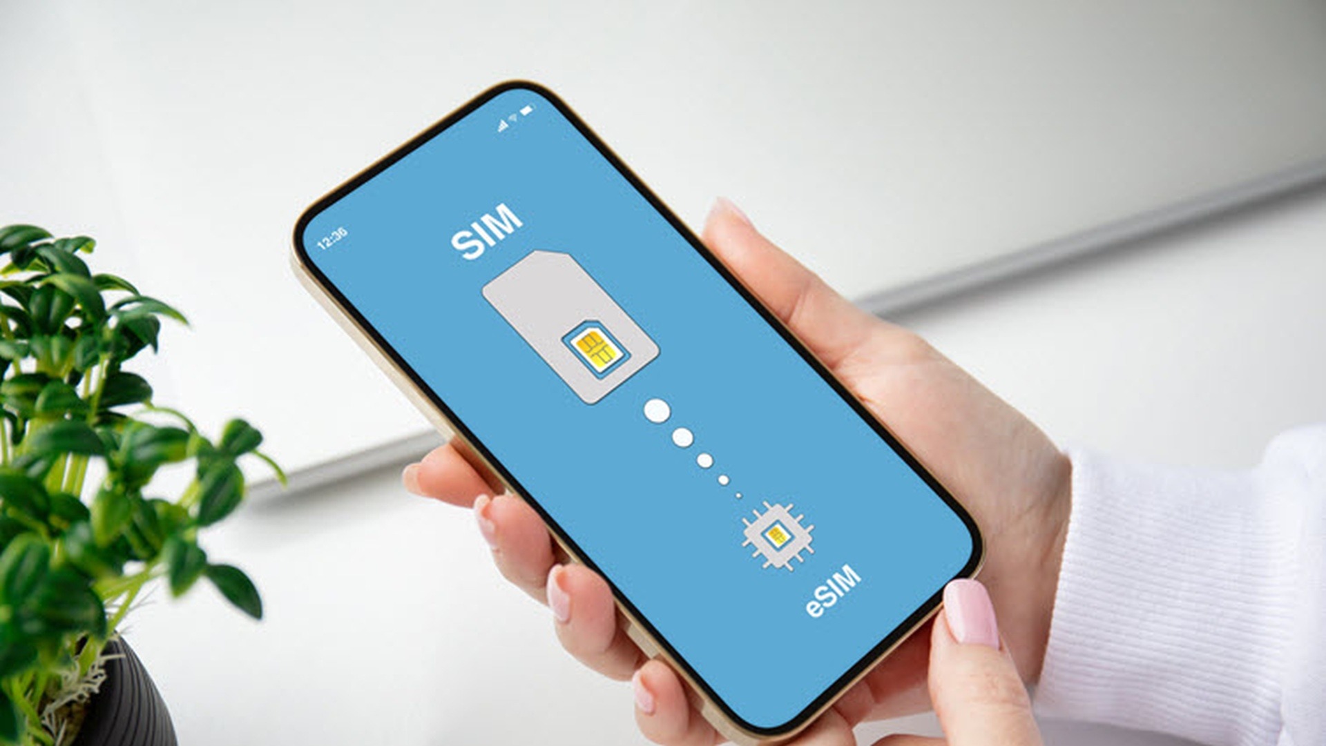 Atención con las medidas de seguridad en tus aplicaciones (Difusión)