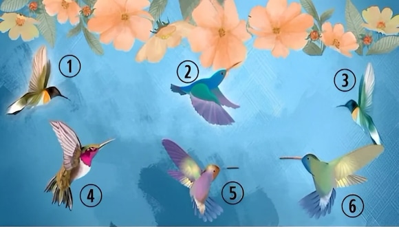 El colibrí que elijas te revelará si eres una persona libre o te atormenta algo. (Foto: Genial.Guru)