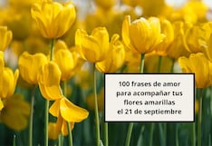 💌 100 frases de amor para acompañar tus flores amarillas el 21 de septiembre