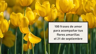 💌 100 frases de amor para acompañar tus flores amarillas el 21 de septiembre