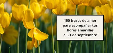 Noticias Sugeridas