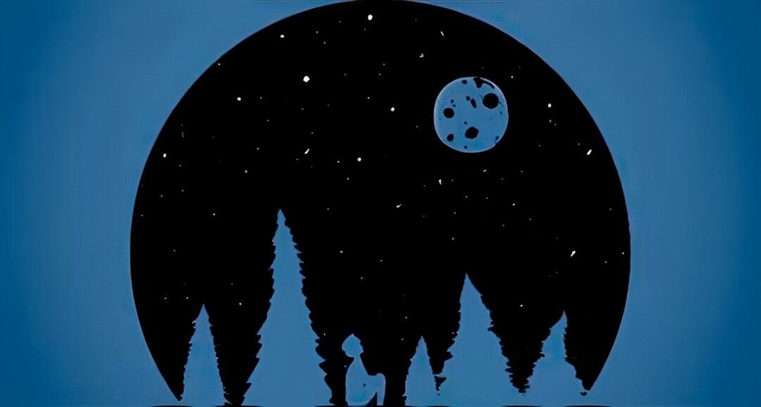 Descubre qué tipo de amigo eres de acuerdo a lo primero que veas en esta imagen (Foto: GenialGuru).